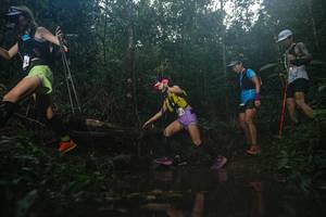 BIB: 
                            <button type="button" onclick="openModal(22532304)" class="btn btn-primary btn-sm float-right btn-popup" data-toggle="modal" data-target=".modal-high-quality">
                        <i class="fas fa-shopping-cart"></i> Add to Cart
                    </button>
                                            <button type="button" onclick="isThisMe(22532304, true)" class="btn btn-success btn-sm float-right btn-popup btn-isme hidden" data-toggle="tooltip" data-placement="bottom" title="นี่คือรูปของคุณใช่ไหม คลิกที่นี่เพื่อเอาเข้าอัลบั้ม">
                        <i class="fas fa-plus"></i> Add to album
                    </button>
                    <button type="button" onclick="isThisMe(22532304, false)" class="btn btn-warning btn-sm float-right btn-popup btn-isnotme hidden">
                        <i class="fas fa-ban"></i> Remove from album
                    </button>